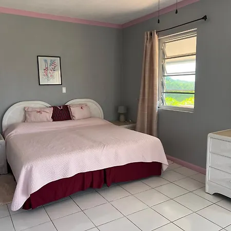 Turtles Nest Bahamas Apartment George Town Exterior photo